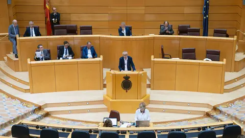 Pleno del Senado