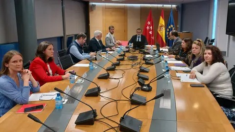 Madrid-Pleno Consejo Emigracion