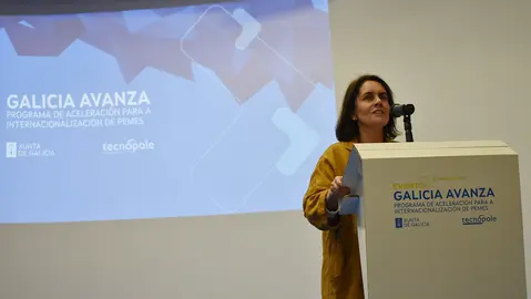 Gain-Galicia Avanza 2