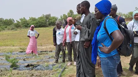 Cooperación África