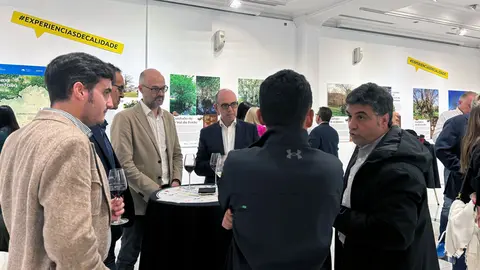 Casa Madrid-Castaña gallega