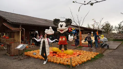 Alejandra Plaza-Samain 1