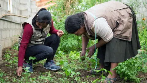 Proyecto Alimentacion en Bolivia