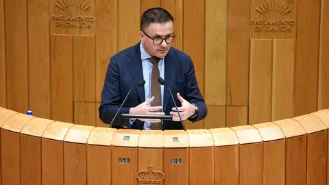 Conselleiro Emprego Parlamento 1