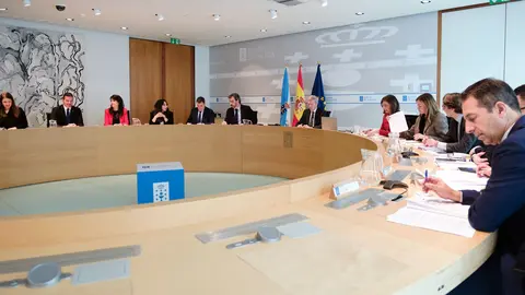 O titular do Executivo galego, Alfonso Rueda, preside a reunión do Consello da Xunta. Sala do Consello, 10/2/25.