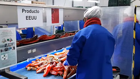 Exportaciones Andalucía