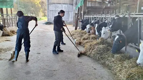 Medio Rural CFEASergude