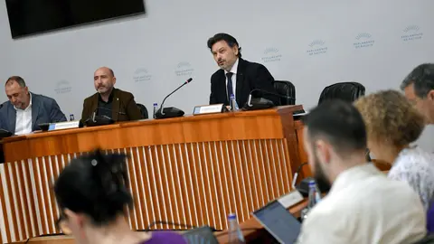 Miranda-Comision Parlamento 3