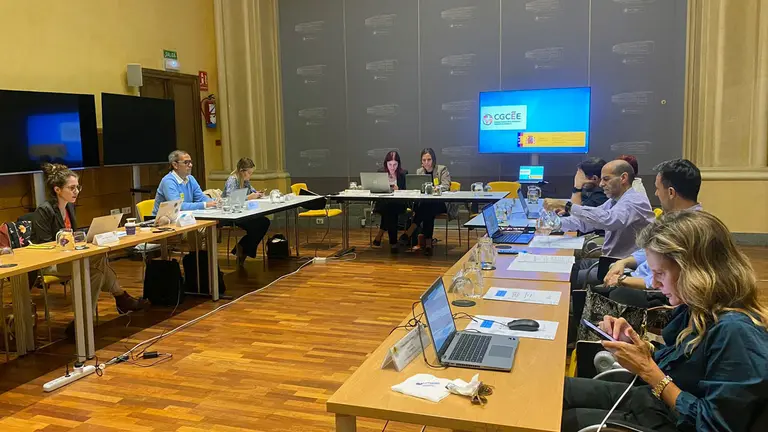 CGCEE-Comision Mujeres