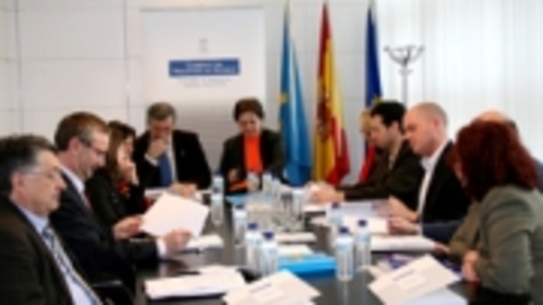  La consejera de Presidencia y el viceconsejero de Emigraci&oacute;n presidieron la reuni&oacute;n del Consejo.