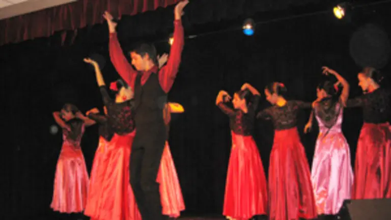  Un momento de la noche flamenca.