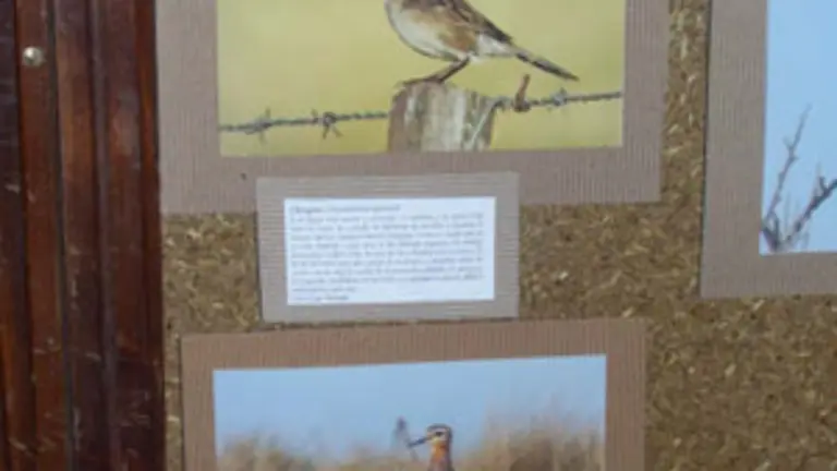  Una de las imágenes que conformaron la exposición sobre las aves.
