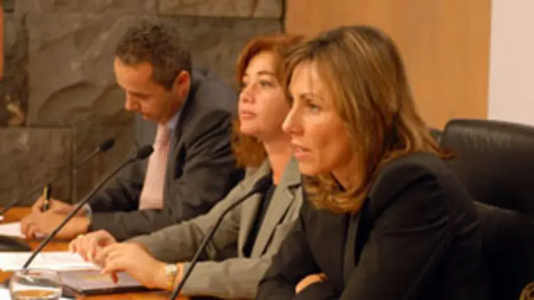  La comisionada de Acción Exterior del Gobierno de Canarias, Elsa Casas.