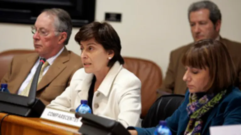 Rubio Vidal, durante su comparecencia en la Comisi&oacute;n. 