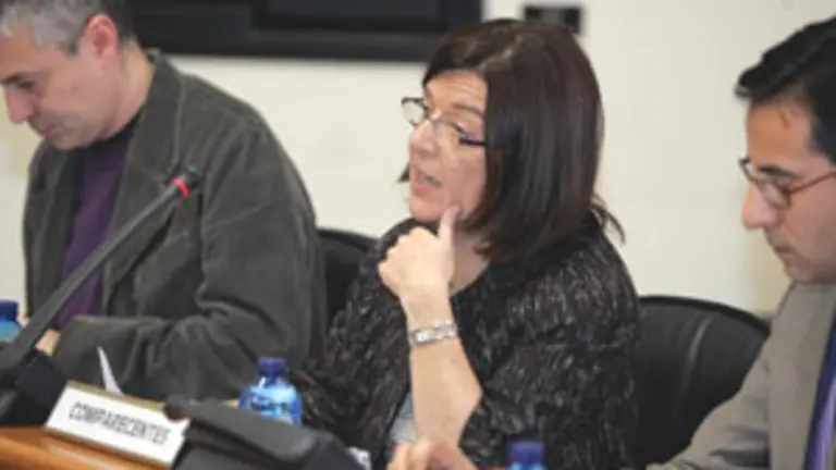  Laura S&aacute;nchez Pi&ntilde;&oacute;n, durante su comparecencia en el Parlamento gallego.