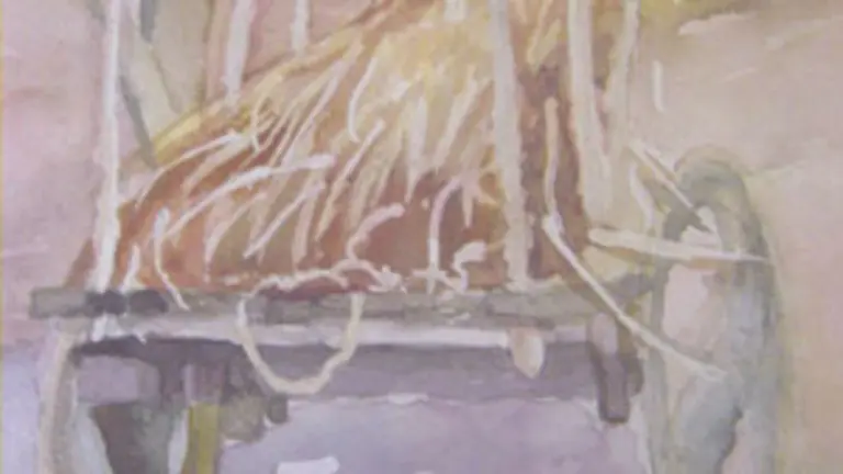  Portada do n&uacute;mero 50 da revista &lsquo;L&uacute;a Nova&rsquo;.