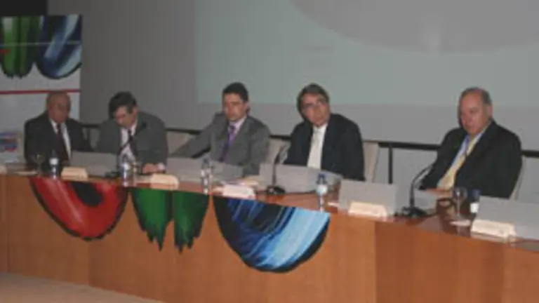  Los representantes de Brasil, durante su panel.