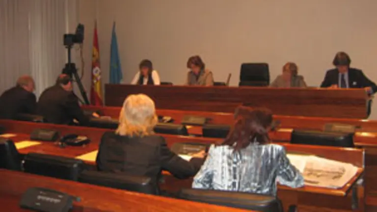  Un momento de la comparecencia de Ana Rivas en la Junta General del Principado.