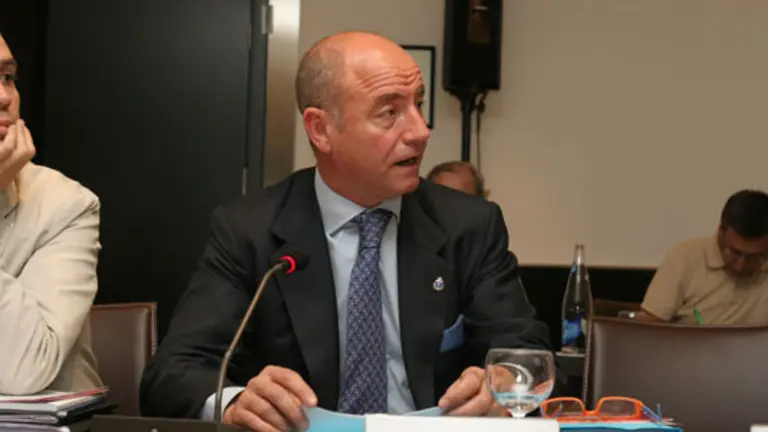  Santiago Camba, durante su intervenci&oacute;n en el Pleno del Consejo.