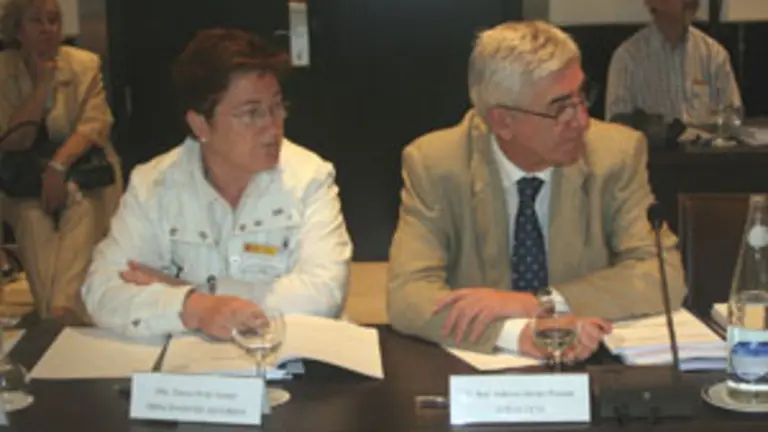  La viceconsejera de Emigraci&oacute;n, durante su participaci&oacute;n en el pleno del CGCEE.