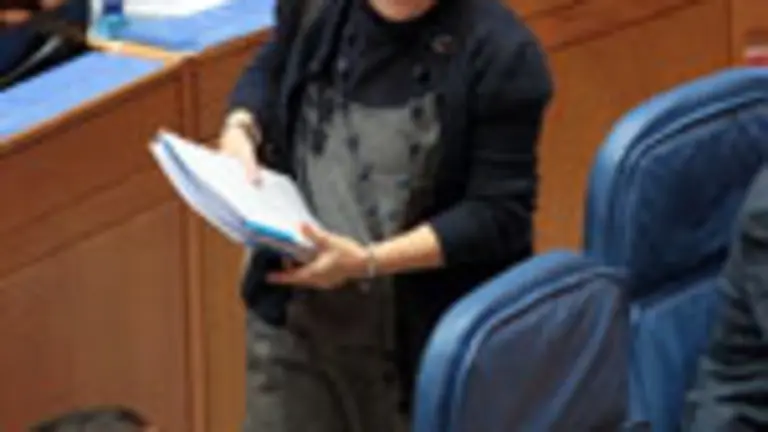  Farjas, en el Parlamento.