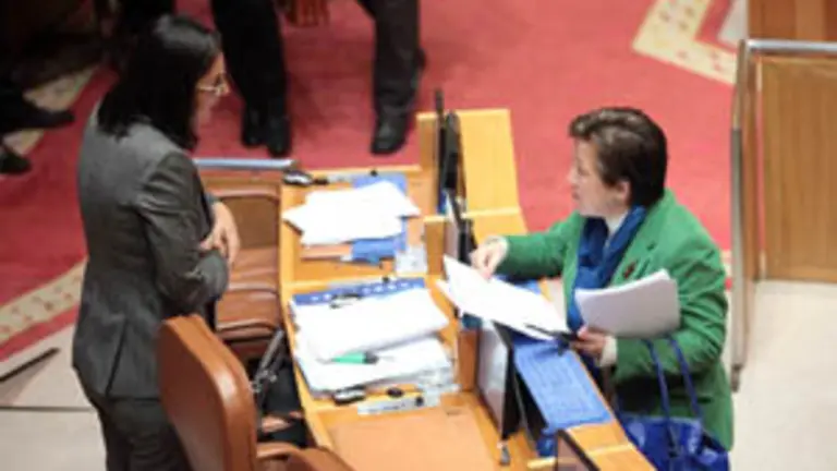  La conselleira Farjas, en el Pleno del Parlamento.
