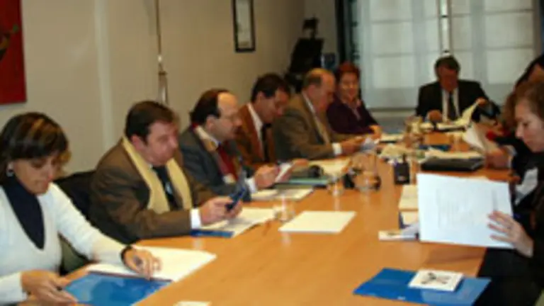  La Comisi&oacute;n Delegada del Consejo de Comunidades Asturianas, reunida la semana pasada.