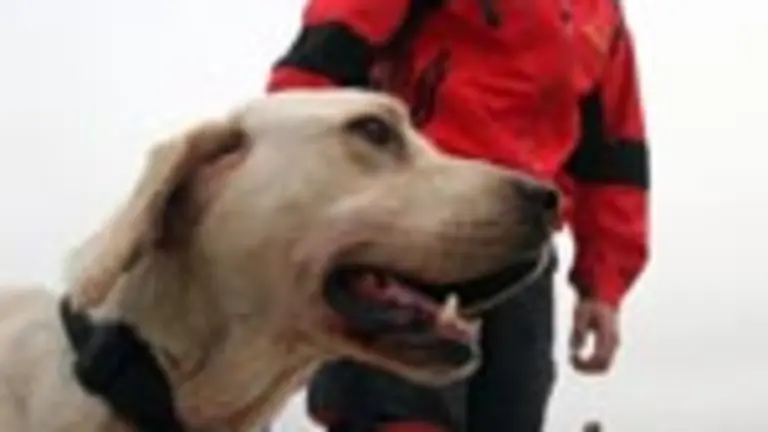  Un miembro del equipo de rescate junto a uno de los perros utilizados.