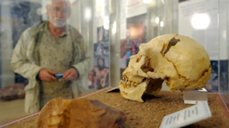  Imagen de la exposición ‘Atapuerca, la aventura de la evolución’.