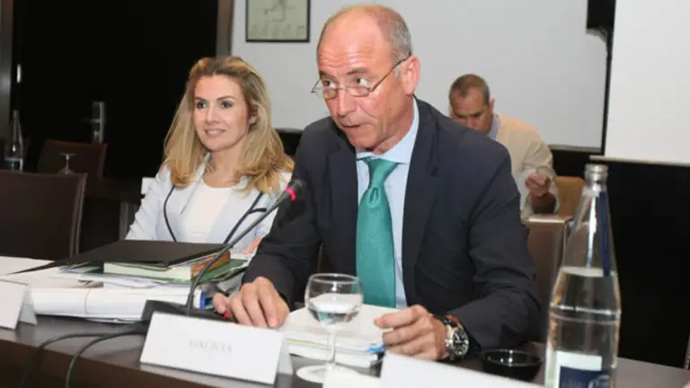  Santiago Camba, durante su intervenci&oacute;n en el Consejo.