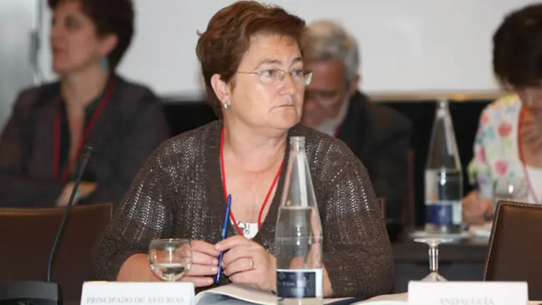  Teresa Ordiz, durante el Pleno del Consejo. 