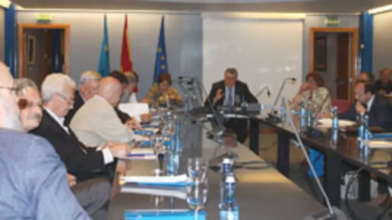  Un momento del pleno del Consejo de Comunidades Asturianas.