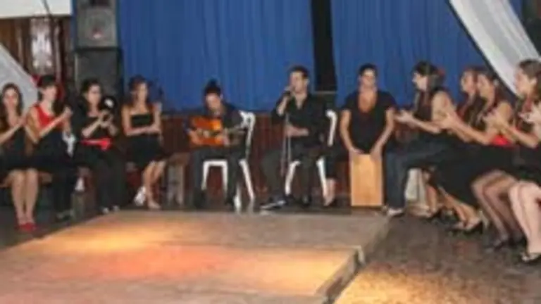  Un momento de la actuaci&oacute;n del grupo de flamenco.