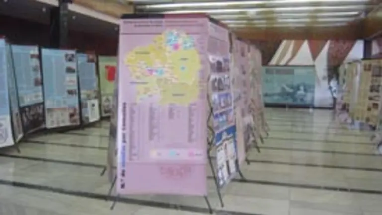  La muestra instalada en Las Palmas consta de 55 paneles explicativos.