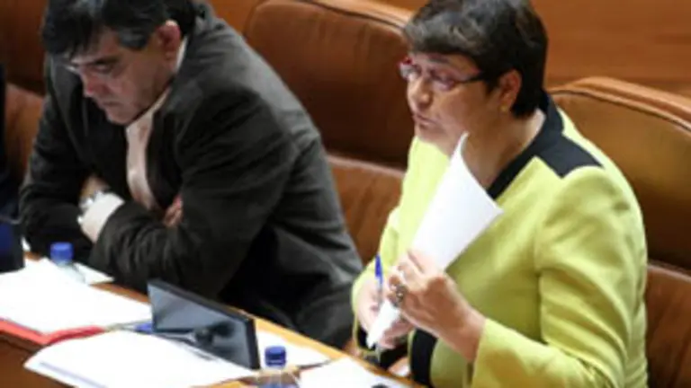 Marisol Soneira, durante una sesi&oacute;n plenaria en el Parlamento de Galicia.