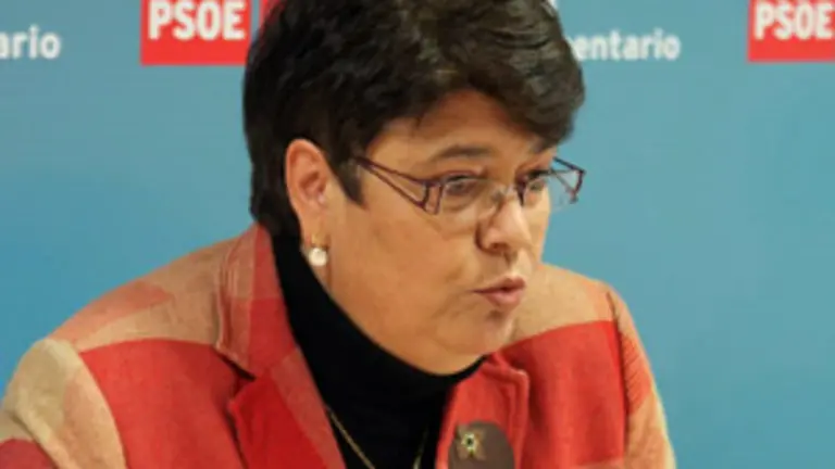  Marisol Soneira, en la rueda de prensa que ofreci&oacute; en el Parlamento. 