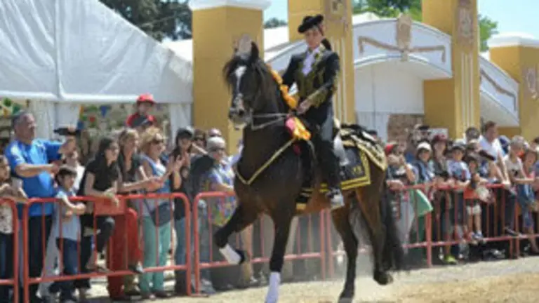 EXHIBICIÓN DOMA ECUESTRE CABALLOS ESPAÑOLES....