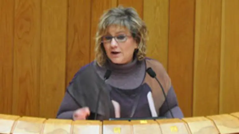 Tereixa Paz en el Parlamento