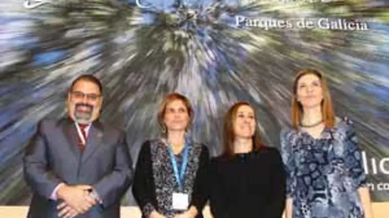 11.Medio Ambiente-fitur