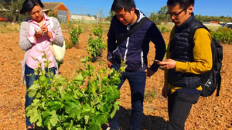 Mision inversa ADE Japon