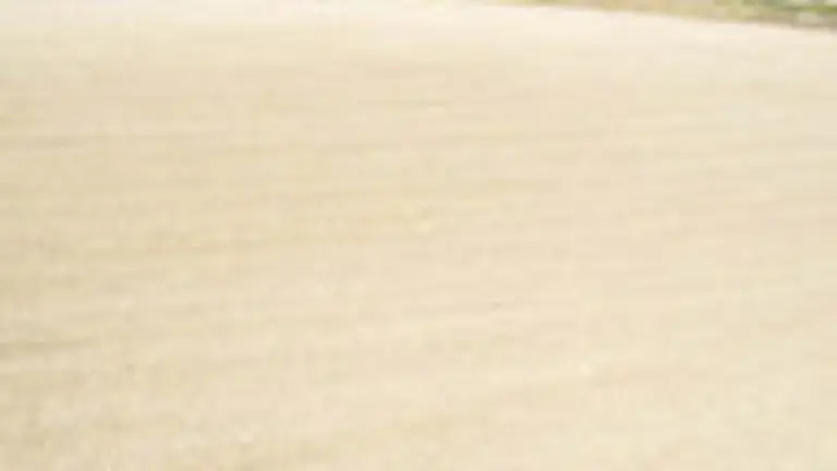 Exposición Coimbrap