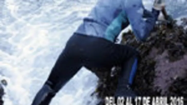 Cartel Centro Gallego Castellón