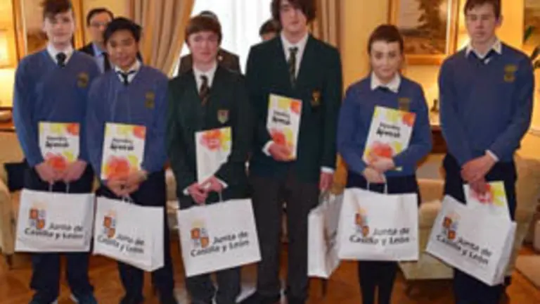 Estudiantes de español en Irlanda