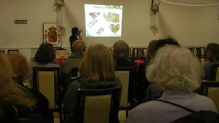 cast y leon bahia alimentacion