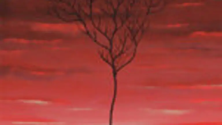 Festival Annency-Psiconauta