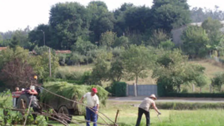 12.Facenda-Camino de Santiago
