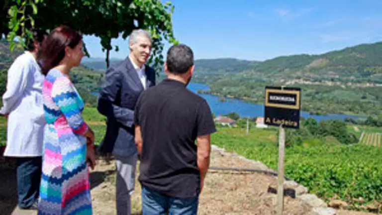 110816 Conde adega Campante 1