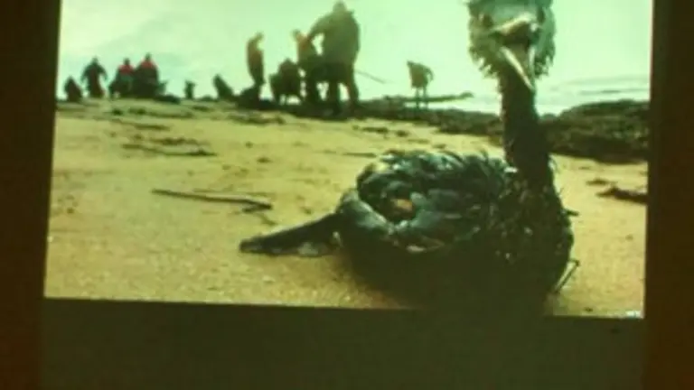 suarez cine ambiental 26 8 2