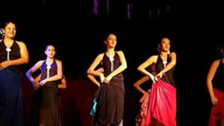 necochea danzas 3 12