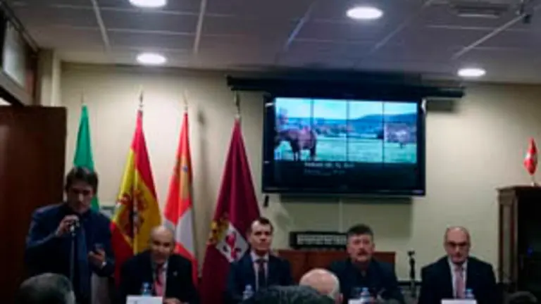 Casa de León Sevilla 2